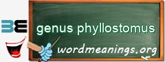 WordMeaning blackboard for genus phyllostomus